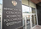 В Минсельхозе обсудили взаимодействие с РАН по обеспечению продовольственной безопасности